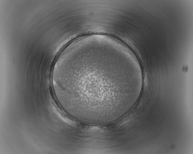 X0000113960390200911061330