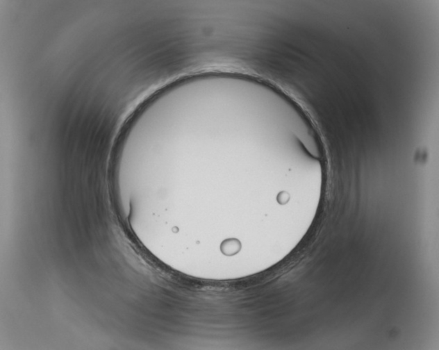X0000113960391200911061330