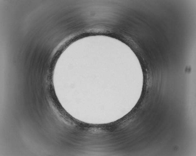 X0000113960392200911061330