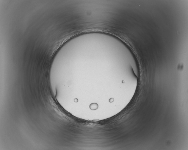 X0000113960393200911061330