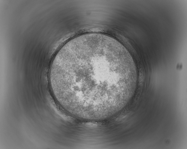 X0000113960394200911061330