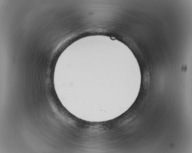 X0000113960396200911061330