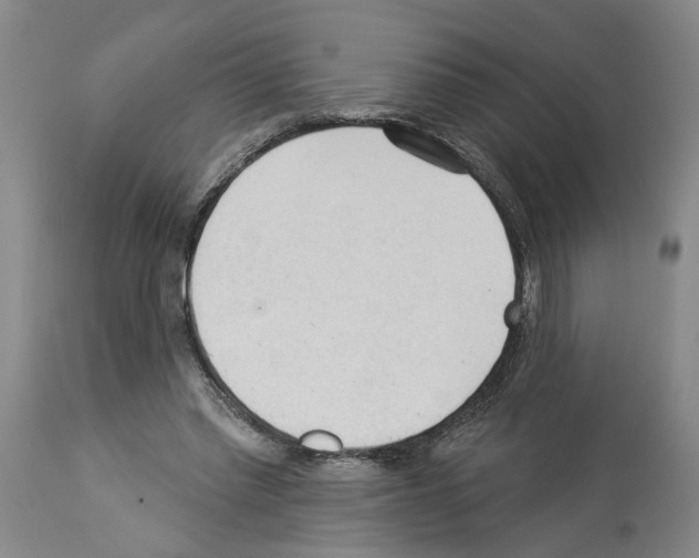 X0000113960397200911061330