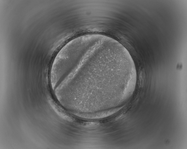 X0000113960398200911061330