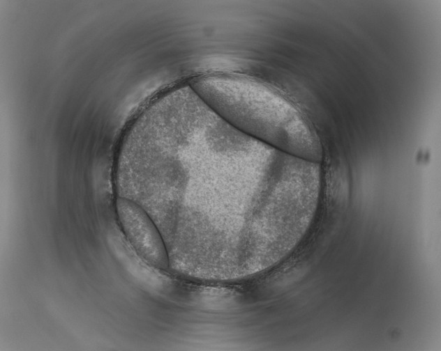 X0000113960399200911061330