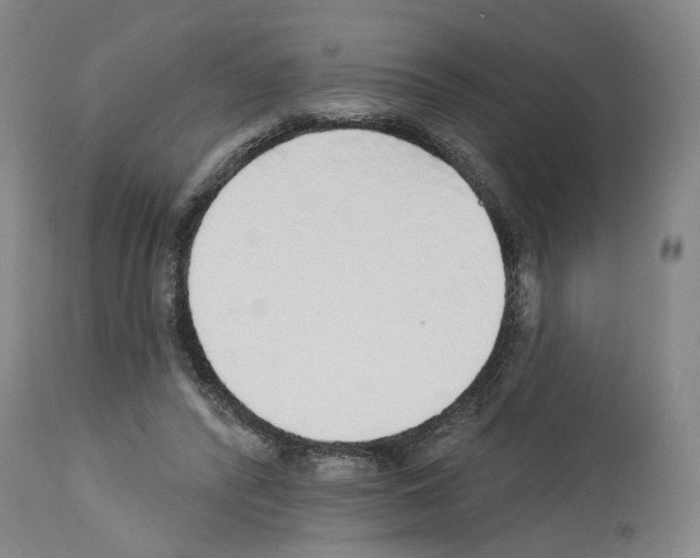 X0000113960400200911061330