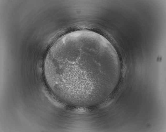 X0000113960402200911061330