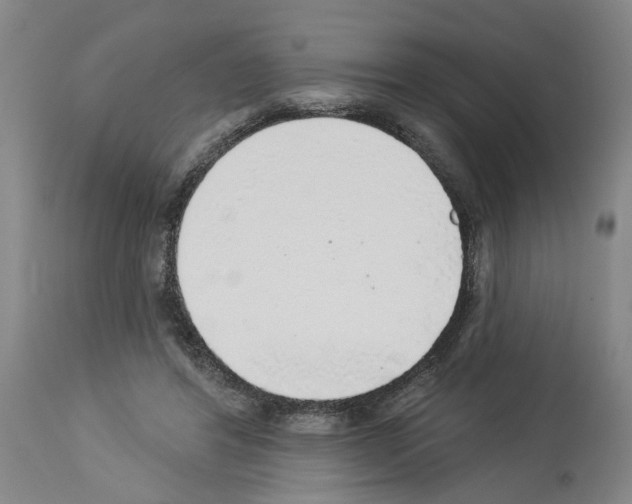 X0000113960404200911061330