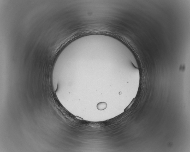 X0000113960405200911061330