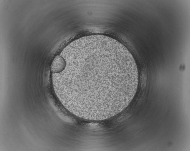 X0000113960406200911061330