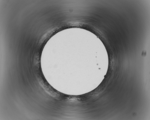 X0000113960407200911061330