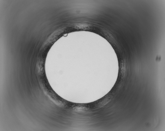 X0000113960408200911061330