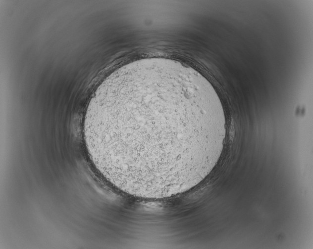 X0000113960409200911061330