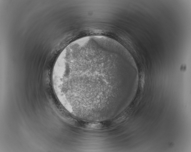 X0000113960410200911061330