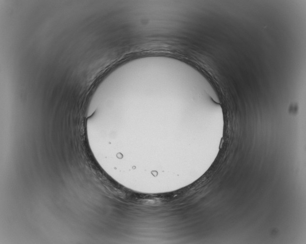 X0000113960411200911061330