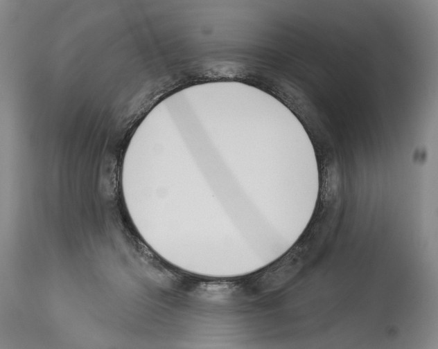 X0000113960414200911061330