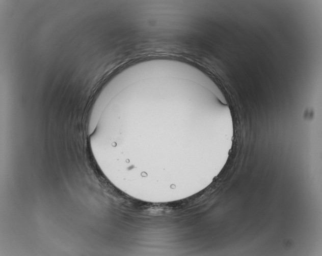X0000113960415200911061330