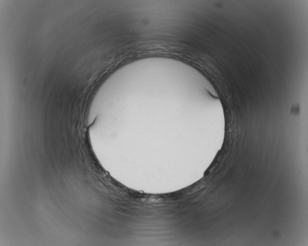 X0000113960419200911061330