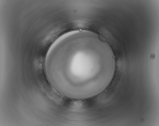 X0000113960423200911061330