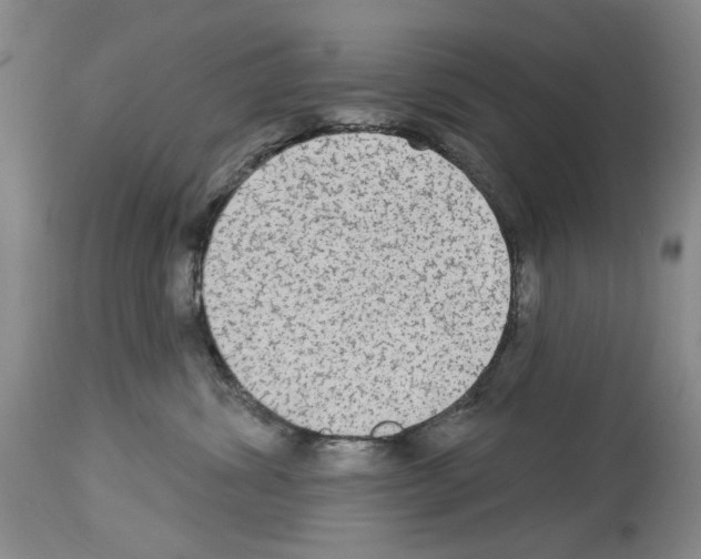 X0000113960428200911061329