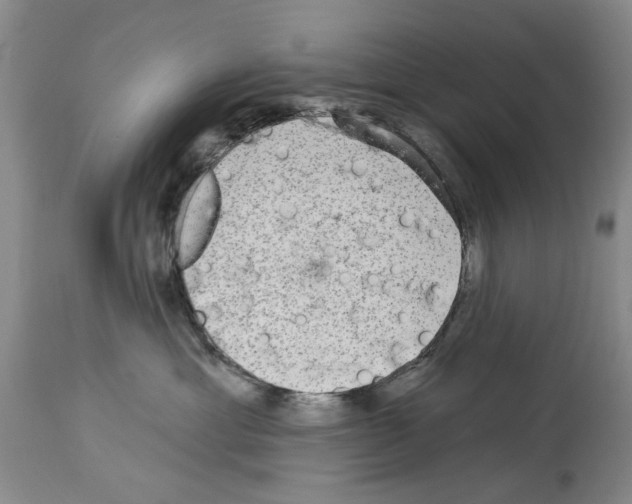 X0000113960429200911061329