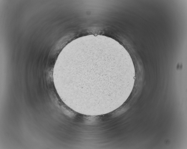 X0000113960432200911061329