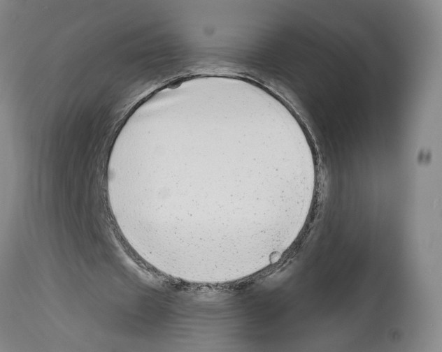 X0000113960433200911061329