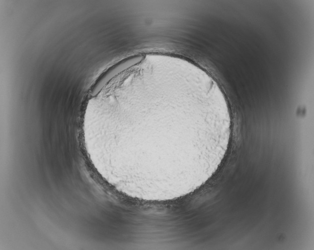 X0000113960434200911061329