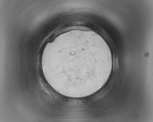 X0000113960435200911061329