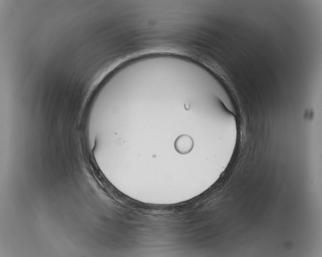 X0000113960436200911061329
