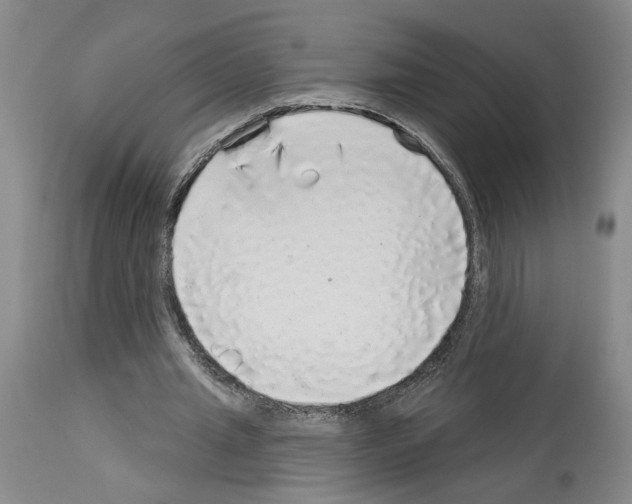 X0000113960437200911061329