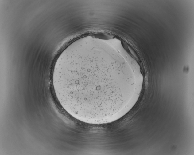 X0000113960438200911061329