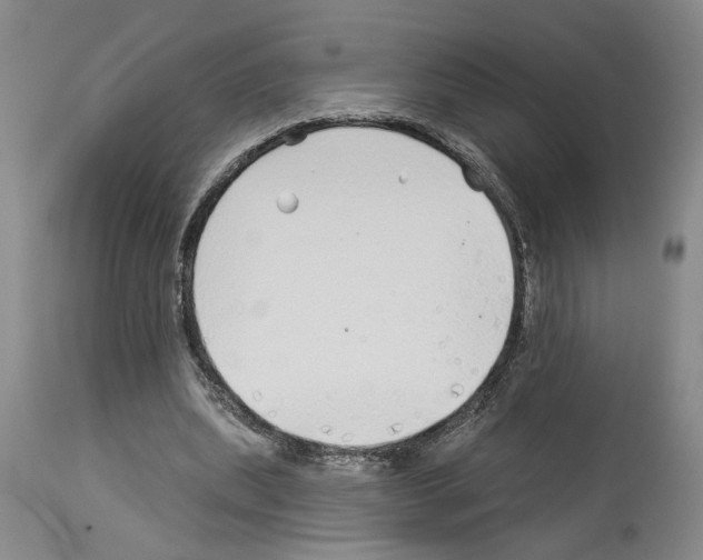 X0000113960439200911061329
