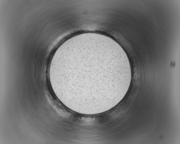 X0000113960440200911061329