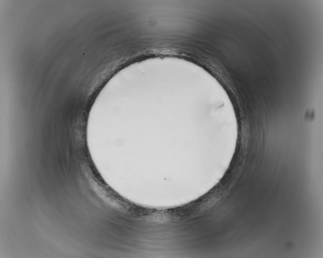X0000113960441200911061329