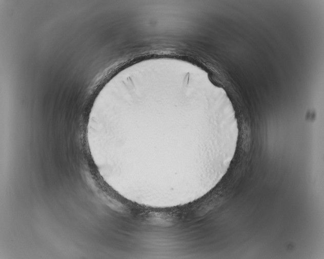 X0000113960442200911061329