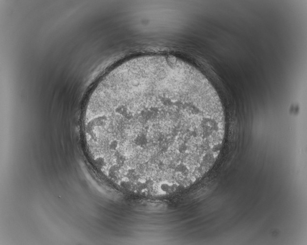 X0000113960443200911061329