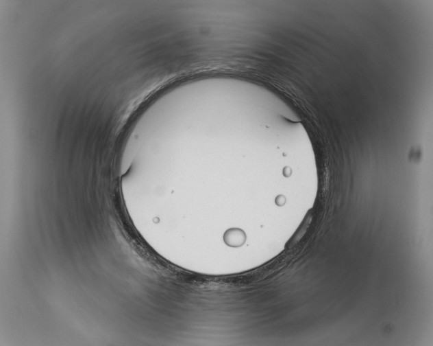 X0000113960444200911061329