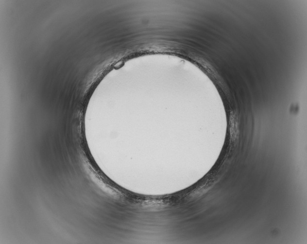 X0000113960445200911061329
