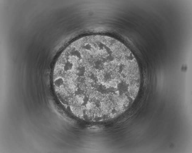 X0000113960447200911061329