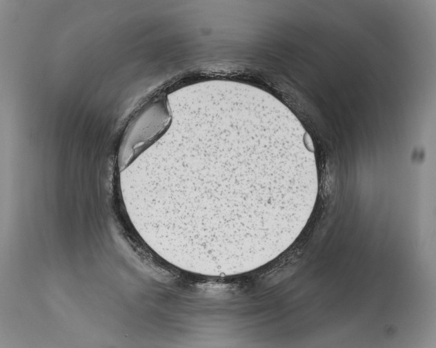 X0000113960448200911061329