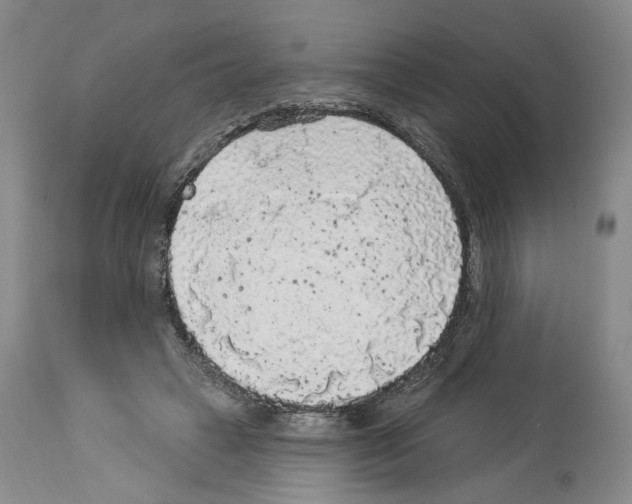 X0000113960449200911061329