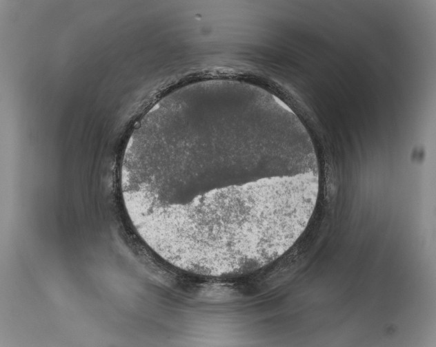 X0000113960451200911061329