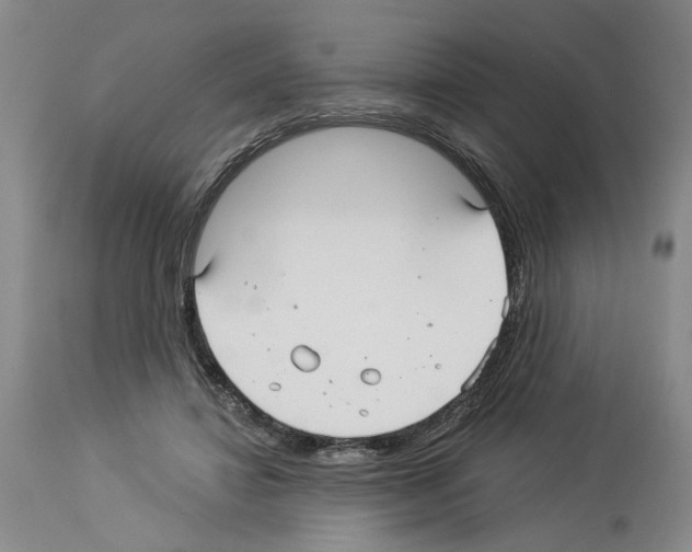 X0000113960452200911061329