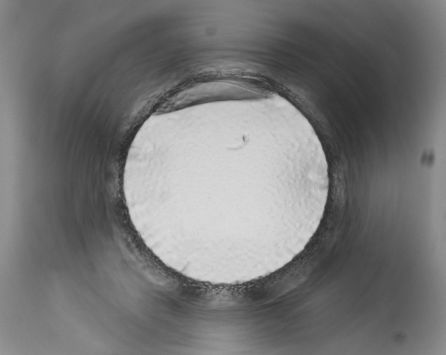 X0000113960453200911061329