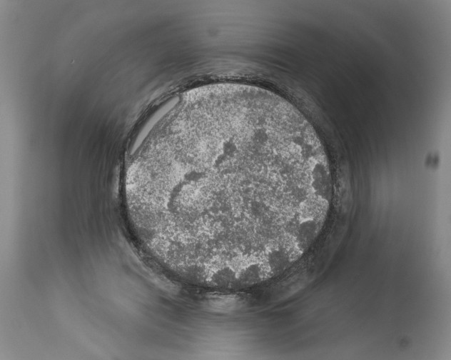 X0000113960454200911061329