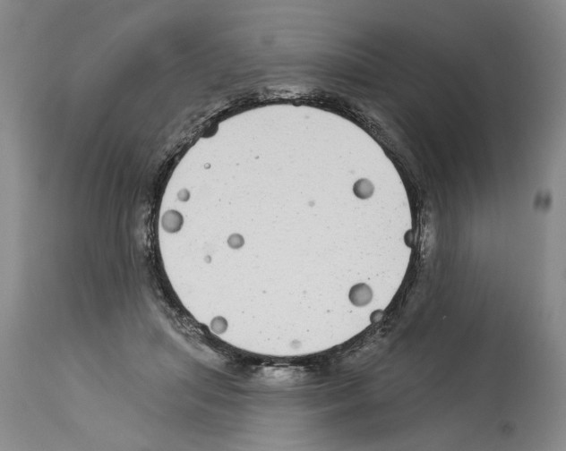 X0000113960455200911061329