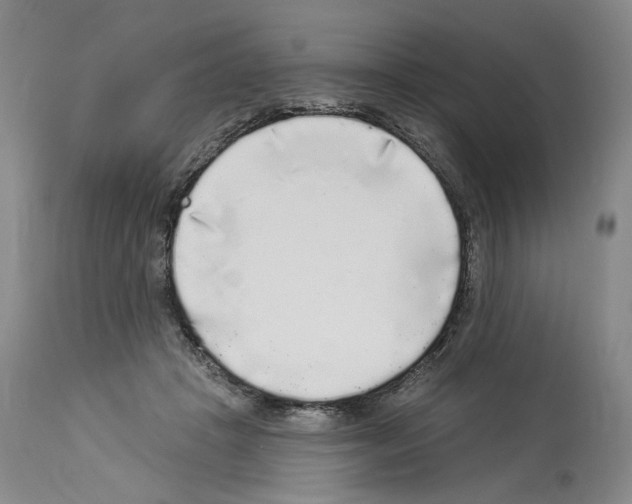 X0000113960457200911061329