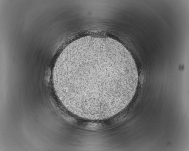 X0000113960458200911061329