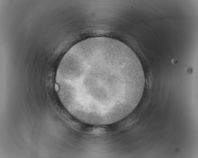 X0000113960462200911061329